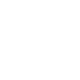 Icon for SkySpark Programmer