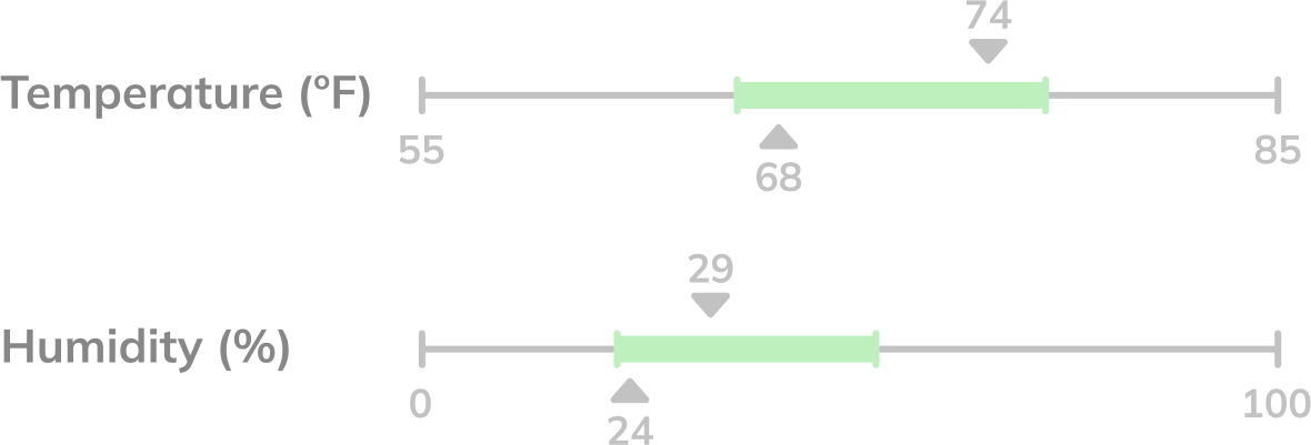 Range plot <br> Horizontal